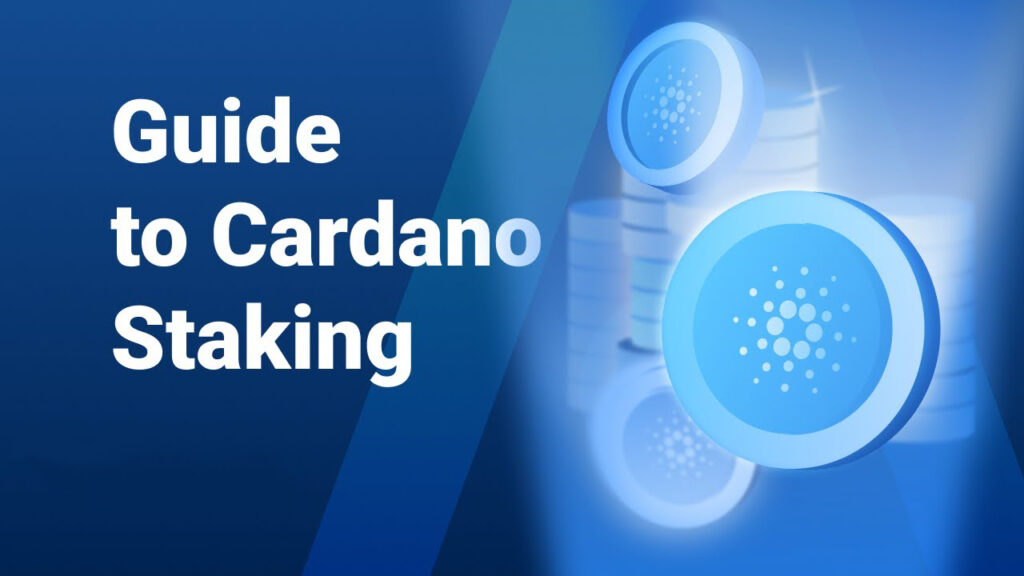 Cardano Staking Guide und beste Staking pools